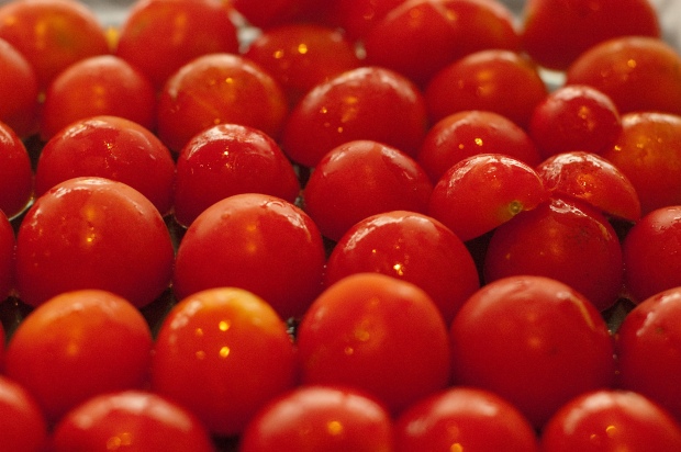 tomatoes-6295